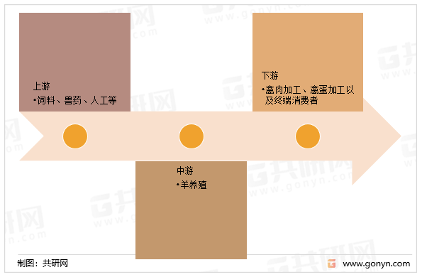 家禽行业产业链