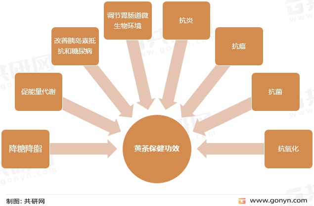 黄茶的保健功效