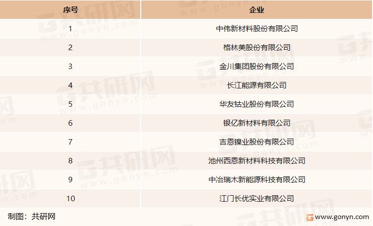 2021年我国硫酸镍主要生产企业