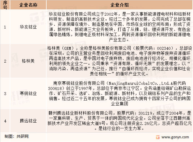 国内钴行业大型钴生产企业