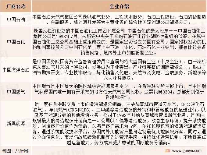 2021年全球前五大厂商天然气加注站厂商介绍