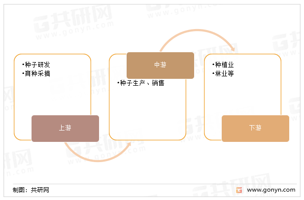 种子行业产业链