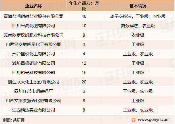 国内硝酸钾市场主要供应商产能统计