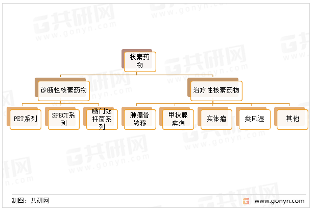 核医学的主要应用领域