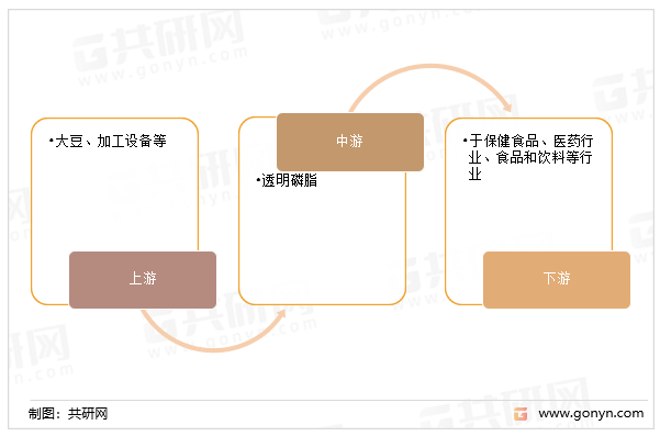 透明磷脂的产业链
