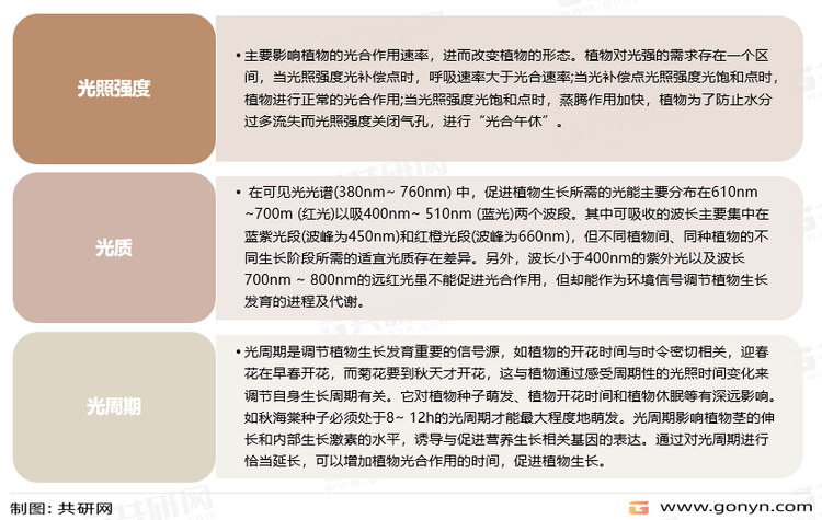 光对植物生长发育的影响