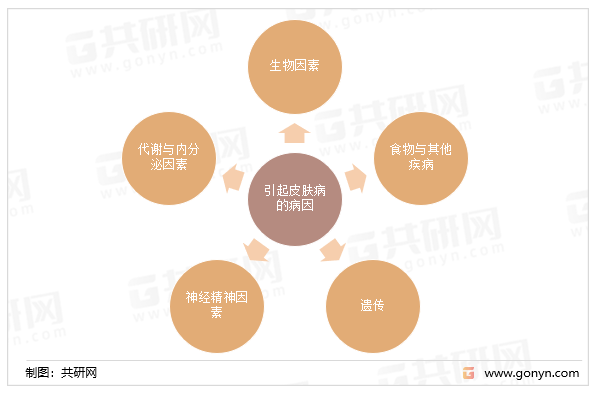 引起皮肤病的病因