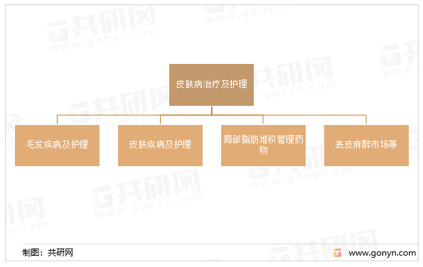 广泛皮肤病治疗及护理市场分类