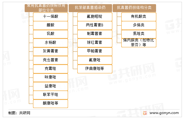 抗真菌药的分类