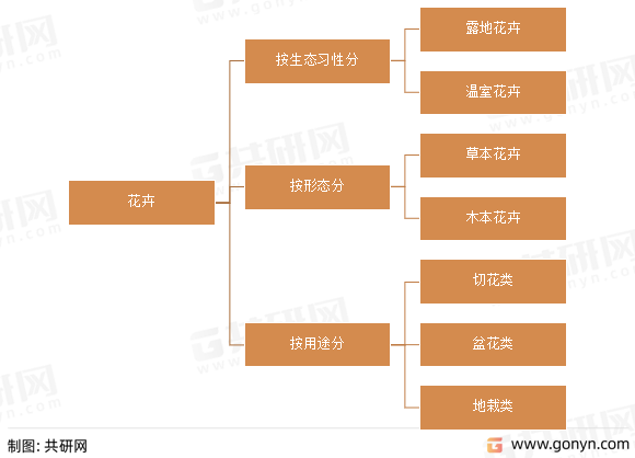 花卉分类