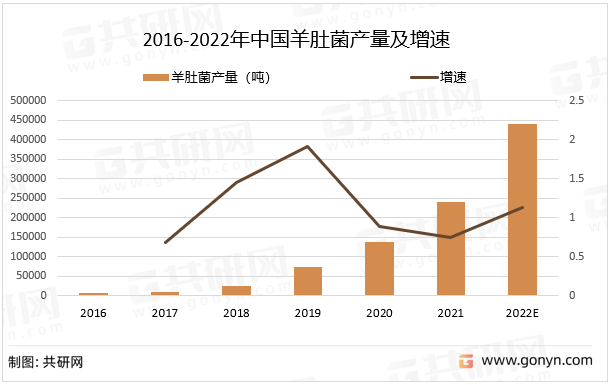 2016-2022年中国羊肚菌产量及增速
