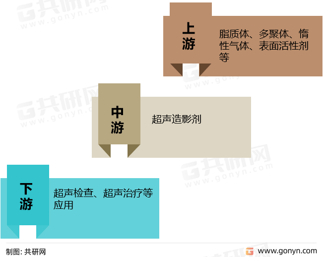 超声造影剂产业链