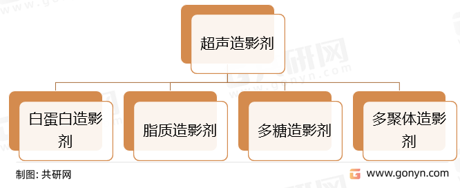 超声造影剂分类