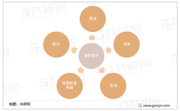 植物香料的类别