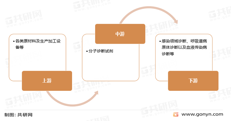 分子诊断产业链