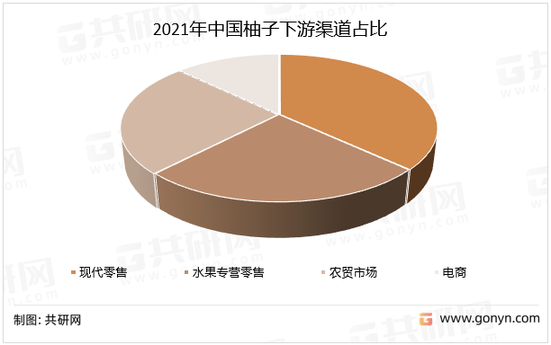 2021年中国柚子下游渠道占比