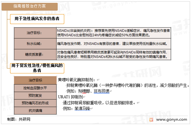 中国高尿酸血症及痛风治疗方案
