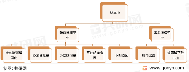 脑卒中具体分类