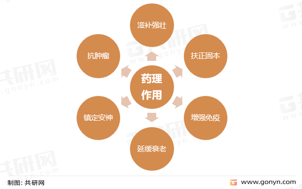 药用价值