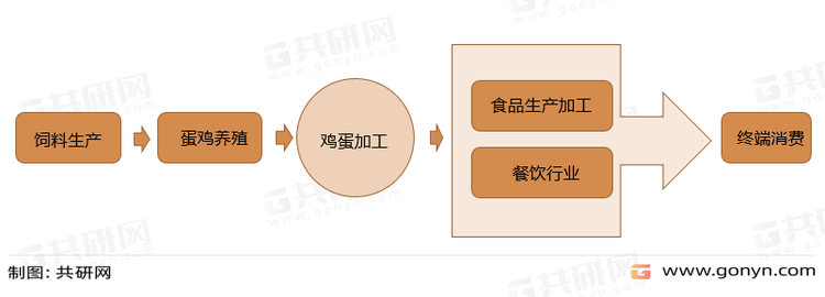 蛋制品加工行业产业链