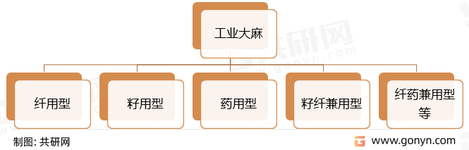 工业大麻分类