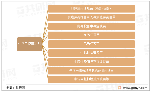 牛常用疫苗制剂类别