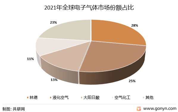 2021年全球电子气体市场份额占比
