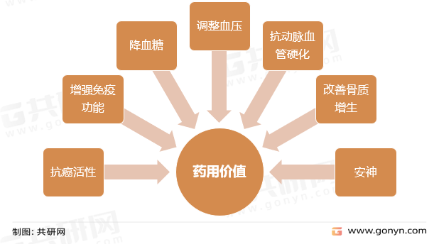 姬松茸药用价值