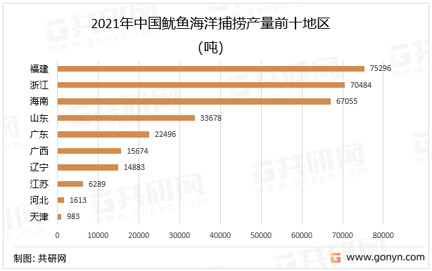 2021年中国鱿鱼海洋捕捞产量前十地区