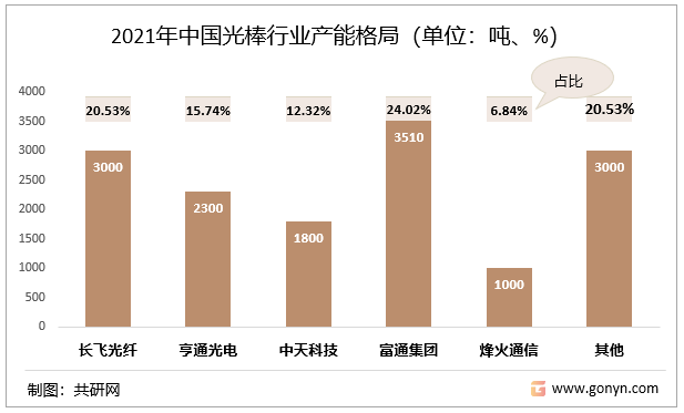 2021年中国光棒行业产能格局（单位：吨、%）