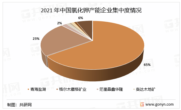 2021年中国氯化钾产能企业集中度情况