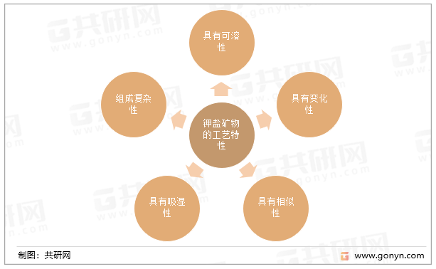 钾盐矿物的工艺特性