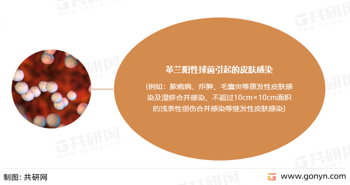 莫匹罗星软膏功能主治