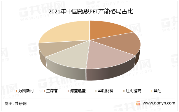 2021年中国瓶级PET产能格局占比