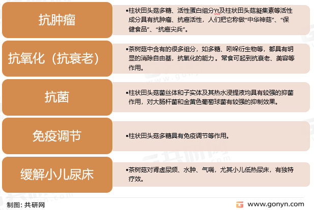 茶树菇药用价值