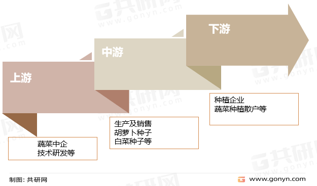 蔬菜种子产业链