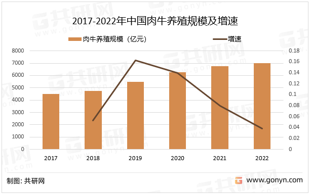 2017-2022年中国肉牛养殖规模及增速