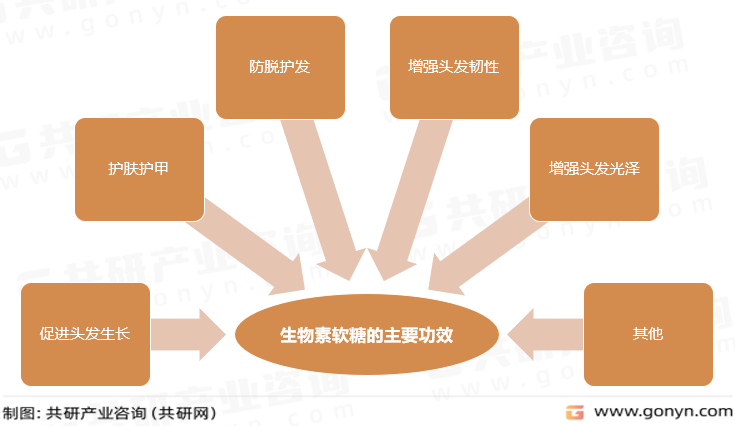生物素软糖的主要功效