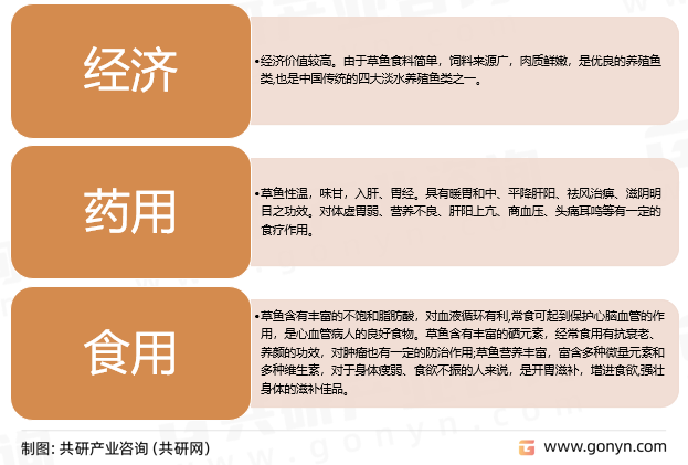 草鱼价值