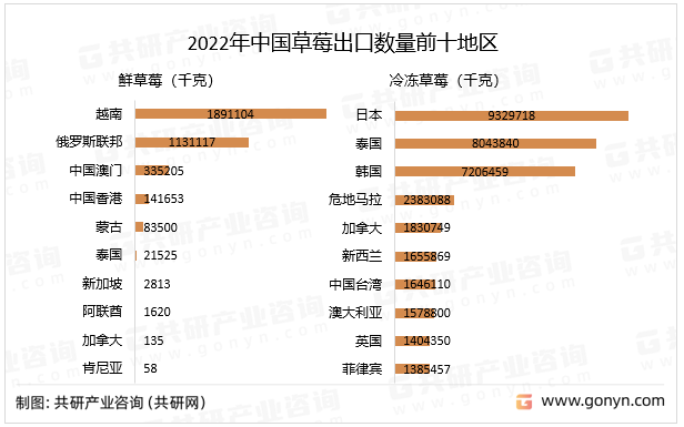 2022年中国草莓出口数量地区