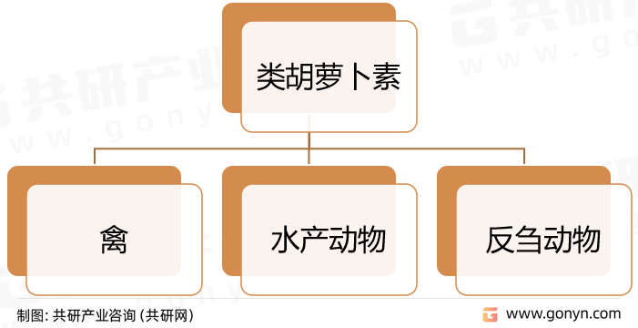 类胡萝卜素应用领域