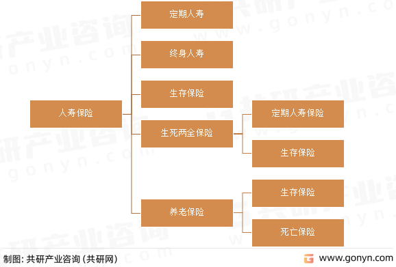 人寿保险分类