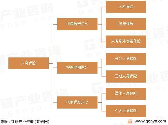 人身保险分类