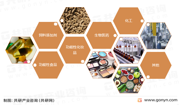 海藻多糖主要应用领域