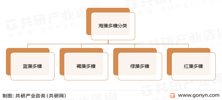 海藻多糖分类