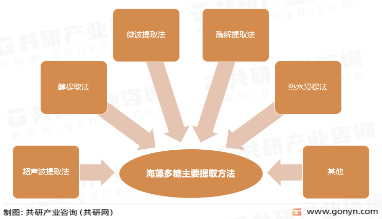 海藻多糖主要提取方法