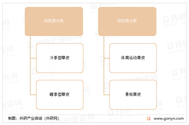 真草草皮分类