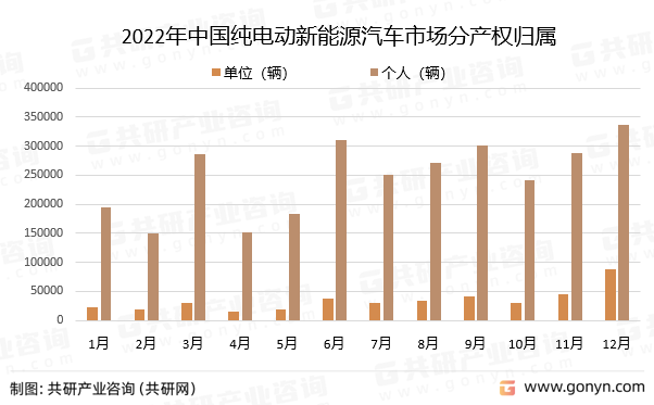 2022年中国纯电动新能源汽车市场分产权归属