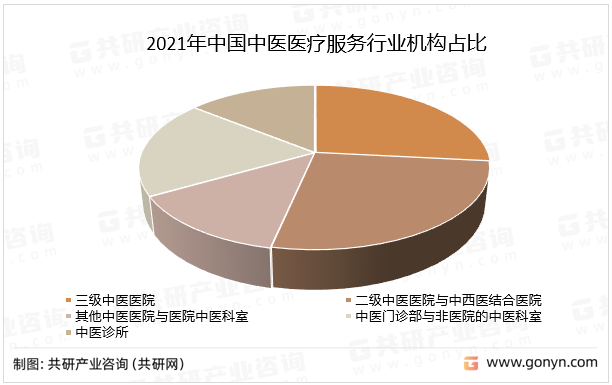 2021年中国中医医疗服务行业机构占比