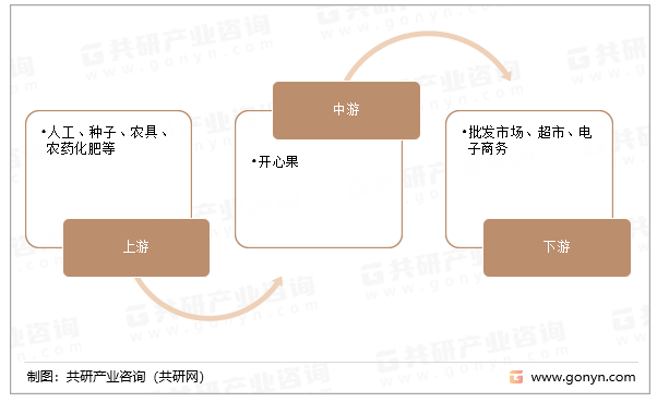 开心果产业链